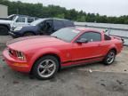 2006 Ford Mustang