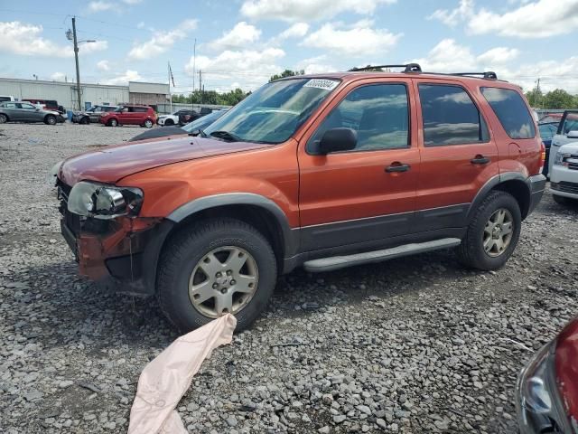 2006 Ford Escape XLT