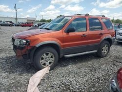 SUV salvage a la venta en subasta: 2006 Ford Escape XLT