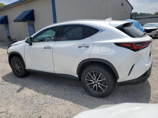 2024 Lexus NX 350H Base