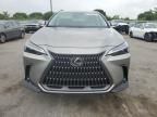 2024 Lexus NX 250 Base