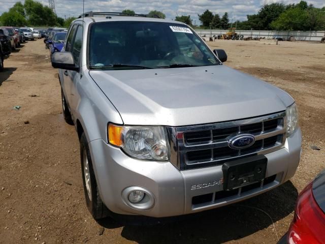 2012 Ford Escape XLT