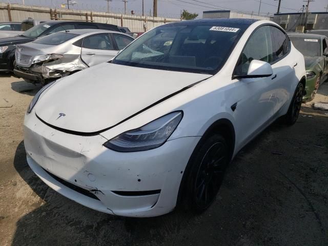 2022 Tesla Model Y