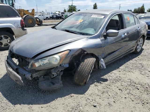 2009 Honda Accord EXL