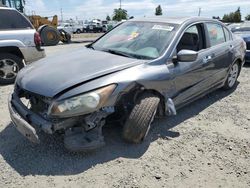 Salvage cars for sale at Eugene, OR auction: 2009 Honda Accord EXL