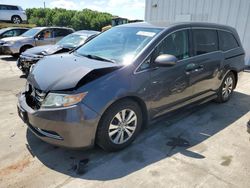 Honda Odyssey ex salvage cars for sale: 2014 Honda Odyssey EX