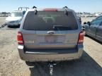 2008 Ford Escape HEV