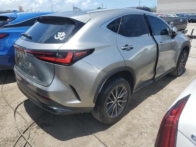 2023 Lexus NX 250