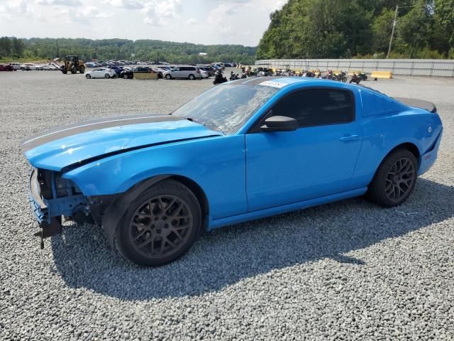 2013 Ford Mustang