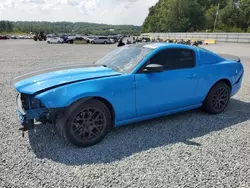 Salvage cars for sale at Concord, NC auction: 2013 Ford Mustang