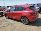 2024 Ford Escape ST Line