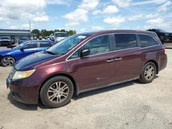 Salvage cars for sale at Harleyville, SC auction: 2012 Honda Odyssey EXL