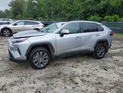 Toyota rav4 xle Premium salvage cars for sale: 2024 Toyota Rav4 XLE Premium