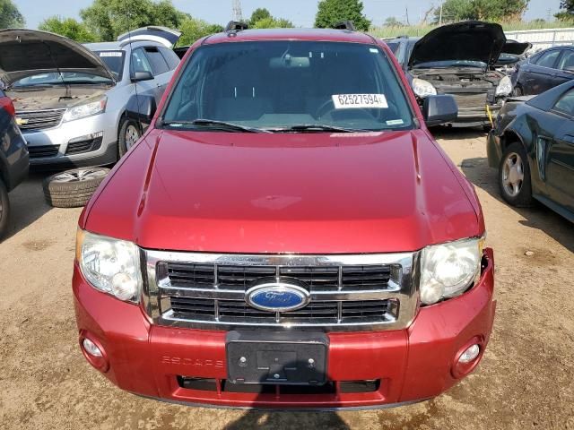 2012 Ford Escape XLT