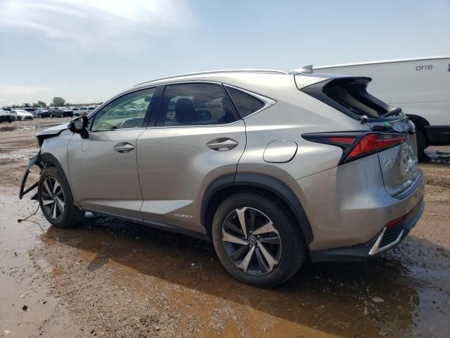 2020 Lexus NX 300H