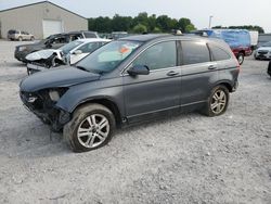 2011 Honda CR-V EXL en venta en Lawrenceburg, KY