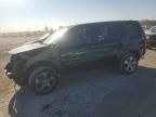 2013 Honda Pilot EXL