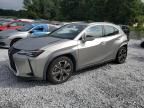 2019 Lexus UX 200