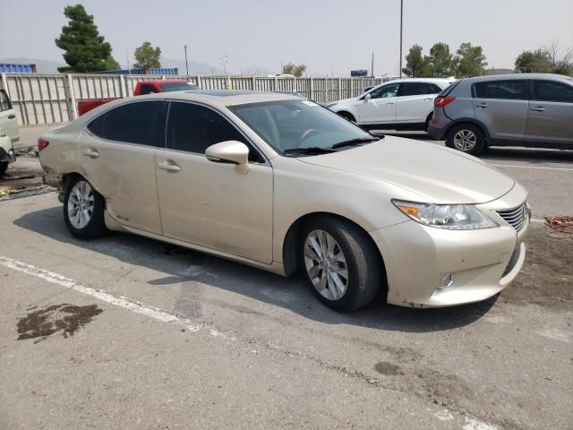 2013 Lexus ES 300H