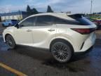 2024 Lexus RX 350 Base