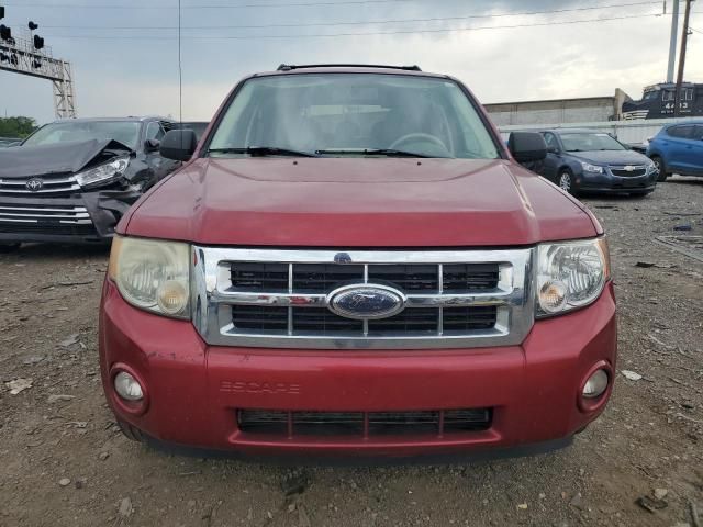 2008 Ford Escape XLT