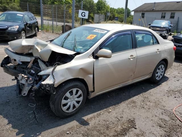 2011 Toyota Corolla Base