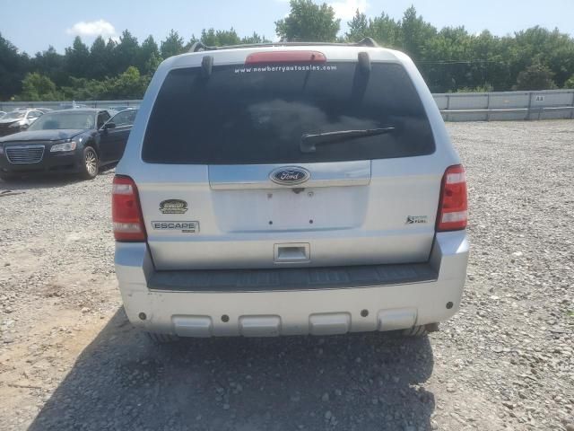 2010 Ford Escape Limited