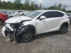 2019 Lexus NX 300 Base en venta en Leroy, NY