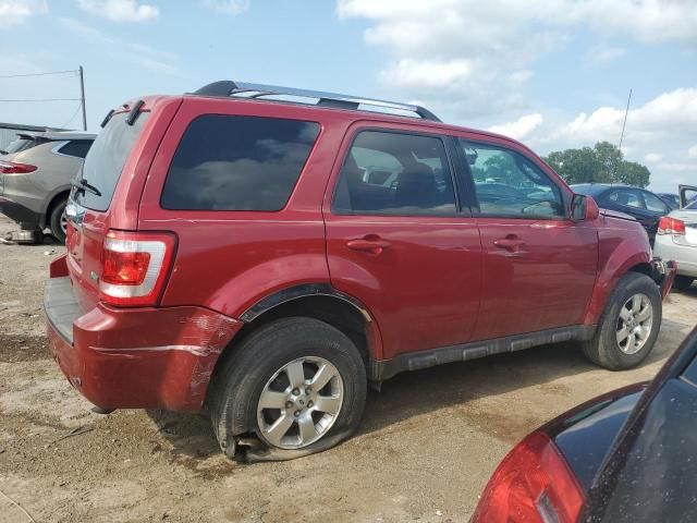 2010 Ford Escape Limited