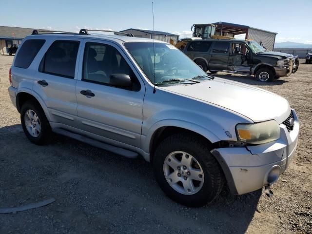 2007 Ford Escape XLT