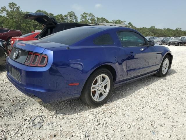 2013 Ford Mustang