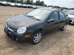 Dodge Neon Vehiculos salvage en venta: 2004 Dodge Neon SXT