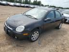 2004 Dodge Neon SXT