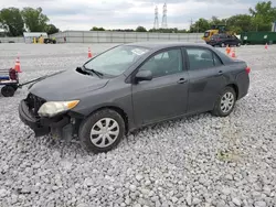 Salvage cars for sale at Barberton, OH auction: 2011 Toyota Corolla Base