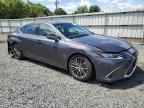 2024 Lexus ES 350 Base