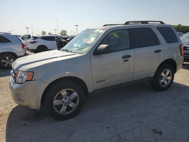 2008 Ford Escape XLT