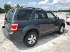 2008 Ford Escape XLT