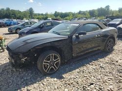 Salvage cars for sale at Candia, NH auction: 2019 Ford Mustang