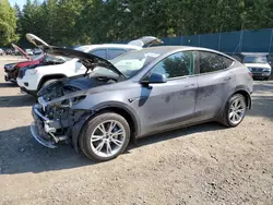 Salvage cars for sale at Graham, WA auction: 2023 Tesla Model Y