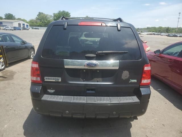 2011 Ford Escape Limited