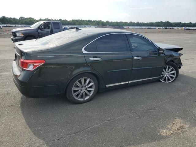 2010 Lexus ES 350