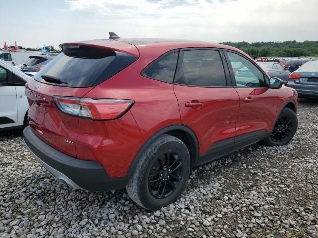 2020 Ford Escape SE Sport