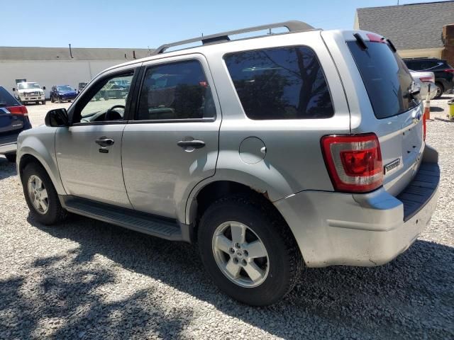 2010 Ford Escape XLT