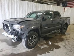 2023 Toyota Tacoma Double Cab en venta en Earlington, KY