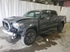 2023 Toyota Tacoma Double Cab