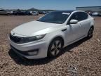 2011 KIA Optima Hybrid