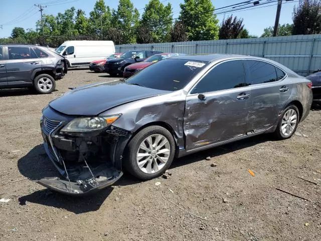 2013 Lexus ES 300H