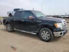 2009 Ford F150 Supercrew