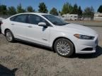 2014 Ford Fusion S Hybrid