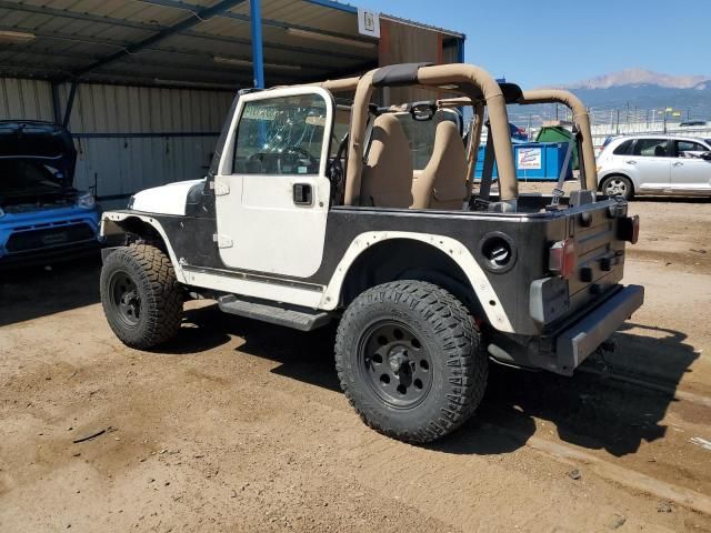 2001 Jeep Wrangler / TJ Sahara